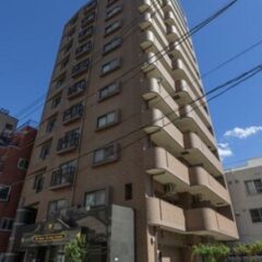 ダイアパレスグランデージ板橋